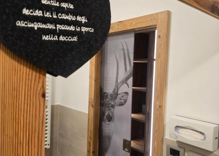 Azola 3* カナツェーイ